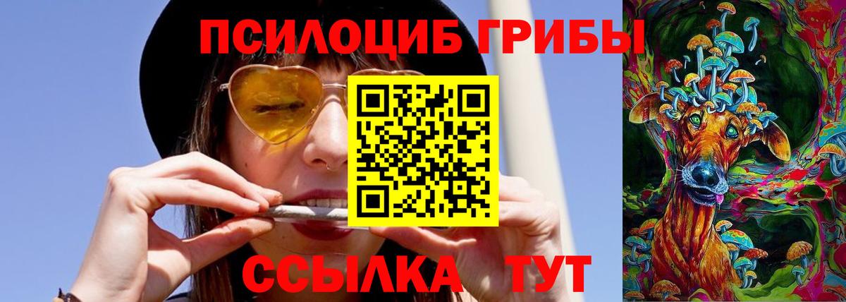 Псилоцибиновые грибы мицелий Урус-Мартан