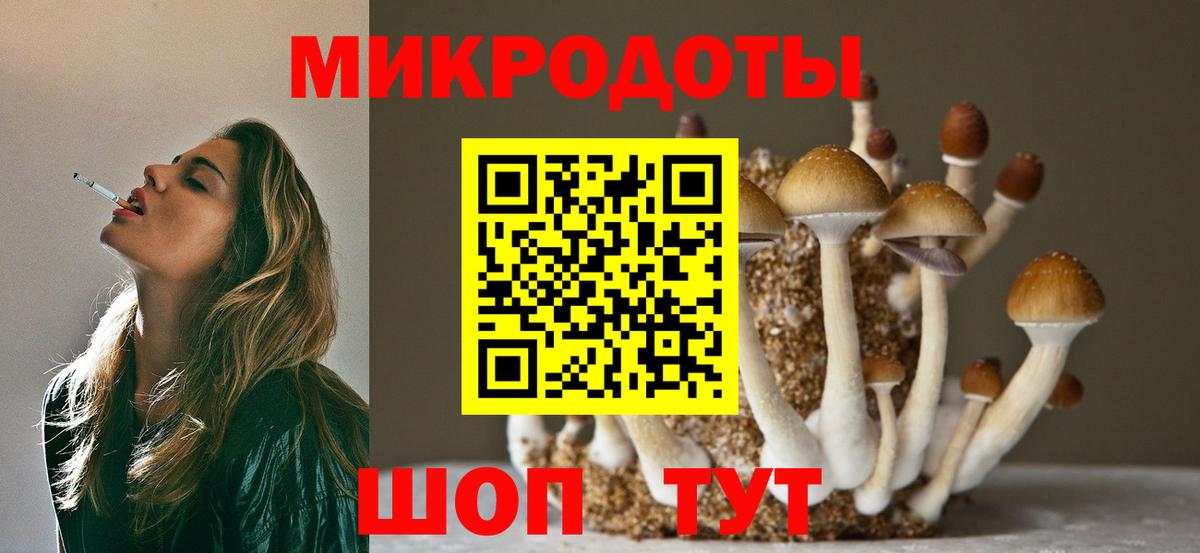 Урус-Мартан  Галлюциногенные грибы ЛСД  Вход с VPN 